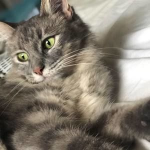 Meet your Posher, Estefánia